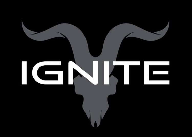 Ignite, Dan's Company.