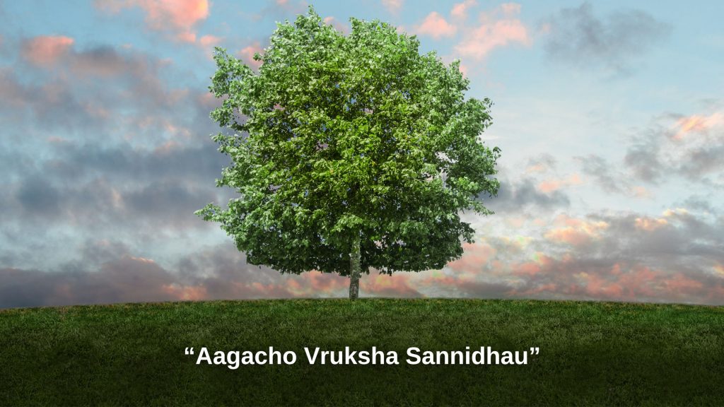 Aagacho Vruksha Sannidhau