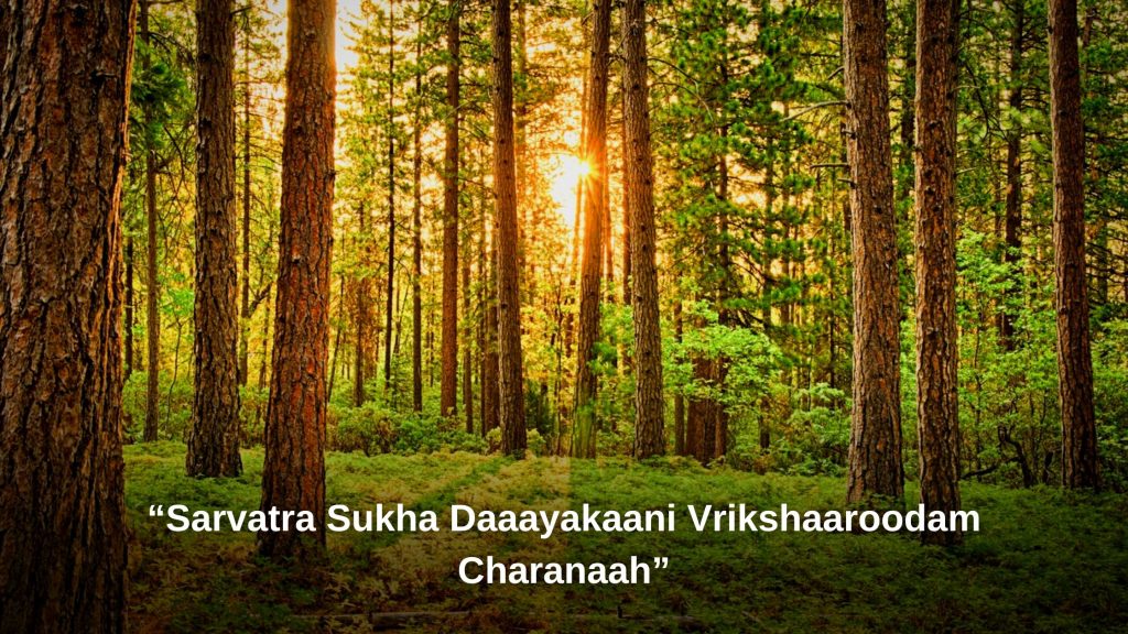 Sarvatra Sukha Daaayakaani Vrikshaaroodam Charanaah