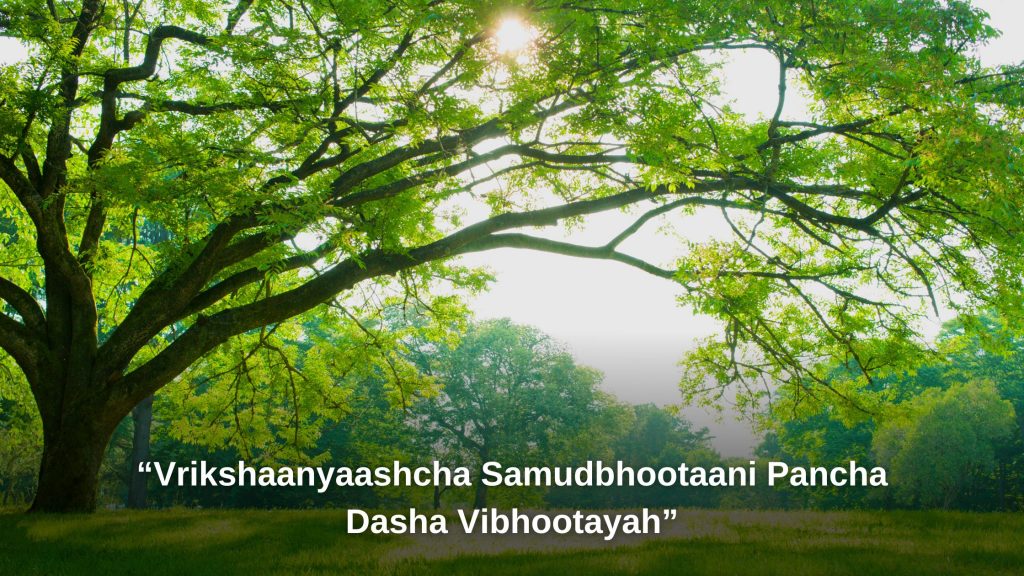 Vrikshaanyaashcha Samudbhootaani Pancha Dasha Vibhootayah