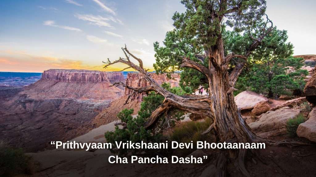 Prithvyaam Vrikshaani Devi Bhootaanaam Cha Pancha Dasha