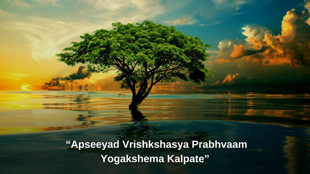 Apseeyad Vrishkshasya Prabhvaam Yogakshema Kalpate