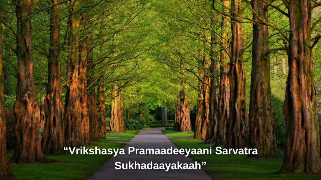 Vrikshasya Pramaadeeyaani Sarvatra Sukhadaayakaah