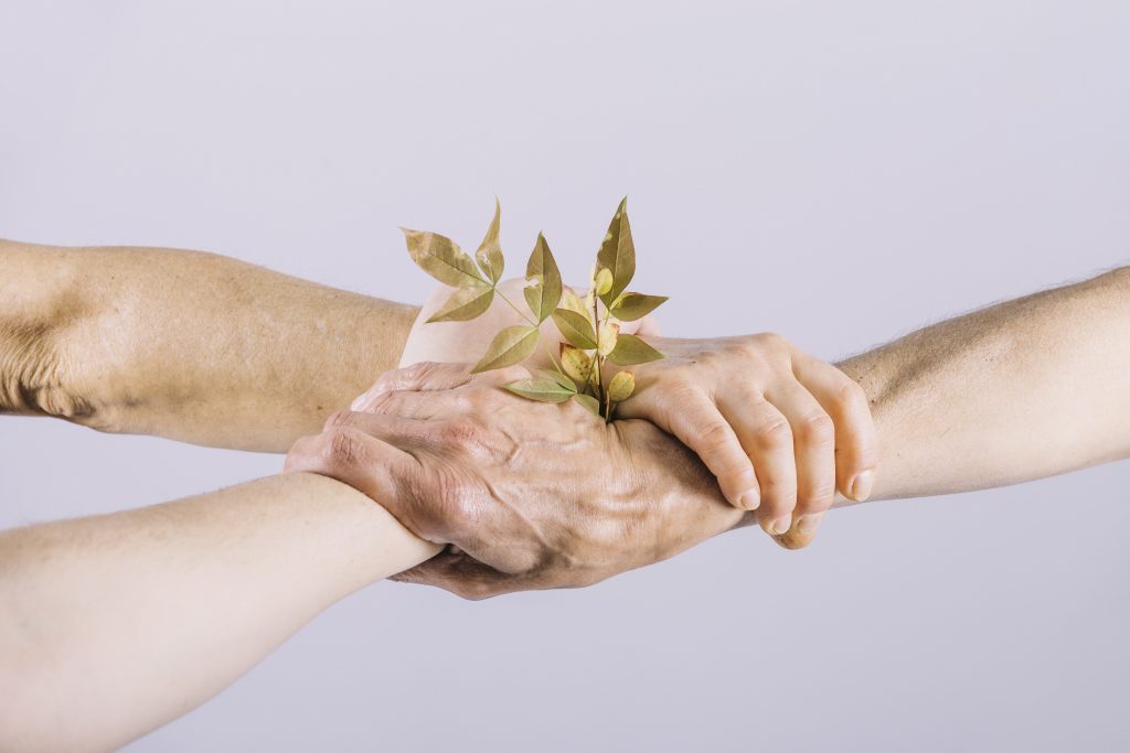 A man and woman holding hands and a leaf petals together.